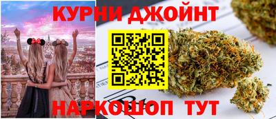 гидропоника Гусь-Хрустальный