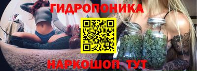 гидропоника Гусь-Хрустальный