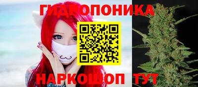 apvp Гусев