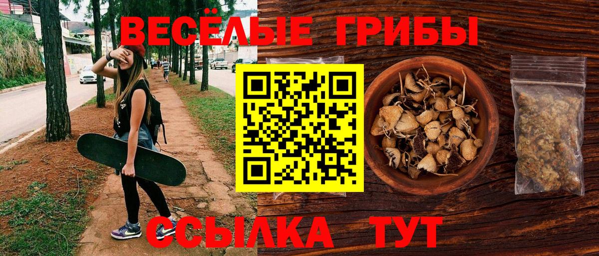 Минусинск  Псилоцибиновые грибы Psilocybe  Вход с VPN  Псилоцибиновые грибы Psilocybe 